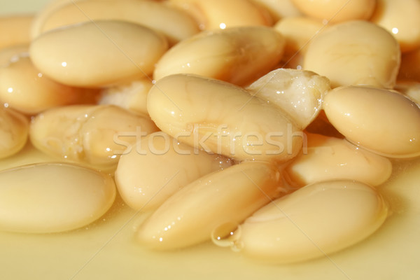 Beans salad Stock photo © claudiodivizia