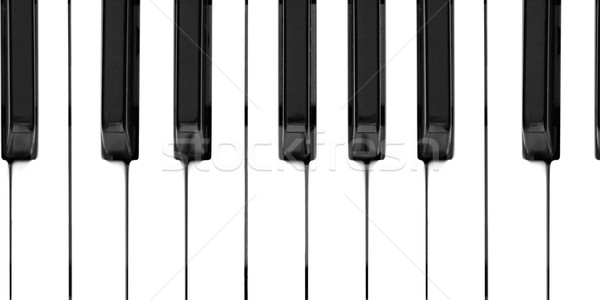 Music keyboard Stock photo © claudiodivizia