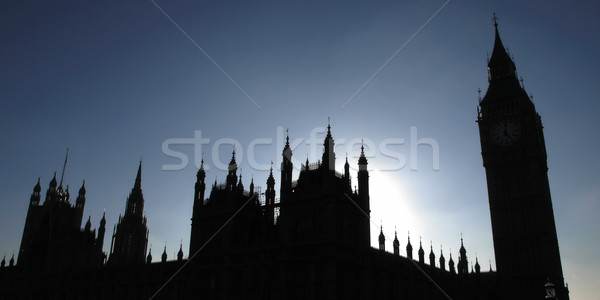 Huizen parlement goth nacht silhouet Stockfoto © claudiodivizia
