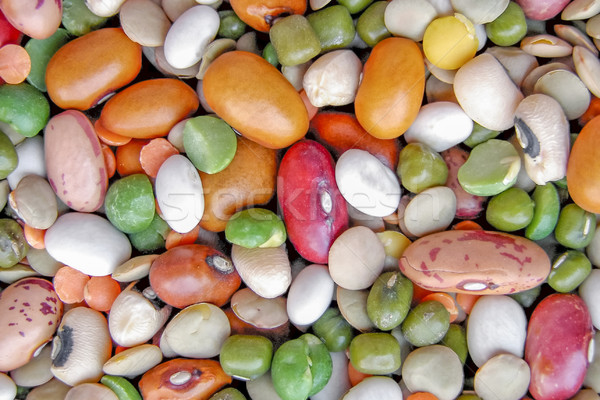 Beans salad Stock photo © claudiodivizia