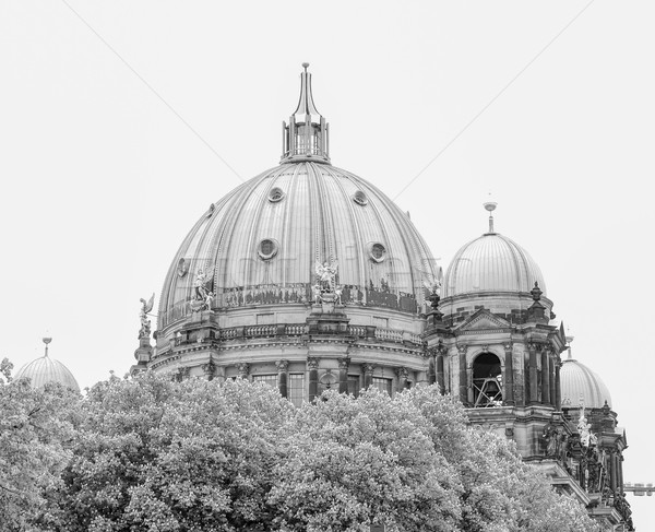  Berliner Dom  Stock photo © claudiodivizia