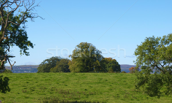 Cardross hill Stock photo © claudiodivizia