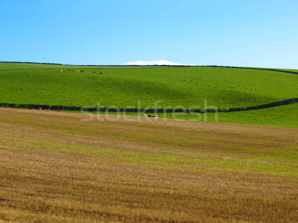 Tepe manzara panorama görmek tepeler Glasgow Stok fotoğraf © claudiodivizia