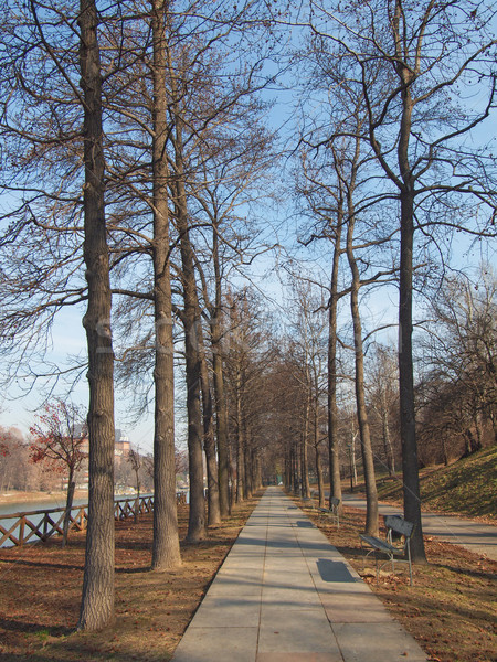 Chemin arbres perspectives urbaine parc rivière [[stock_photo]] © claudiodivizia