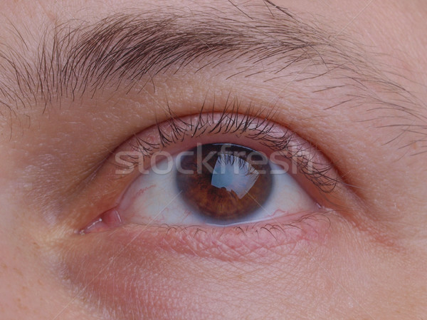 Stock photo: Eye pupil and eyelid