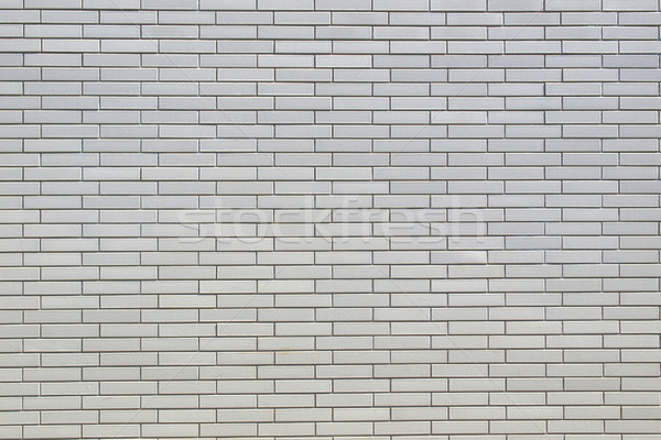 White bricks Stock photo © claudiodivizia