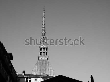 Turin, Italy Stock photo © claudiodivizia