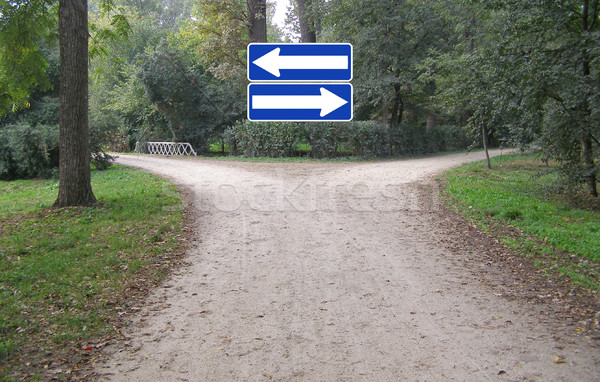 Wahl Richtung Zeichen schwierig Entscheidung Kreuzung Stock foto © claudiodivizia