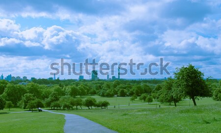 çuhaçiçeği tepe Londra park İngiltere gökyüzü Stok fotoğraf © claudiodivizia