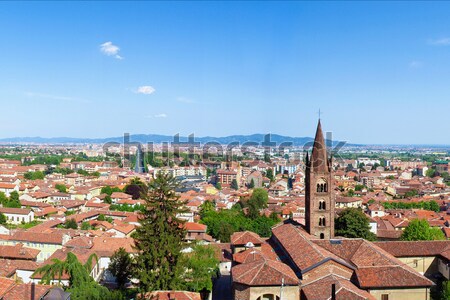 Turin panorama Stock photo © claudiodivizia