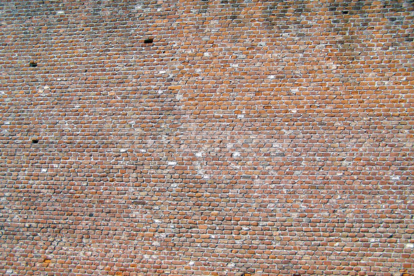 Brick wall Stock photo © claudiodivizia