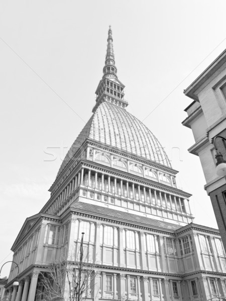 Topo torino retro arquitectura blanco Foto stock © claudiodivizia