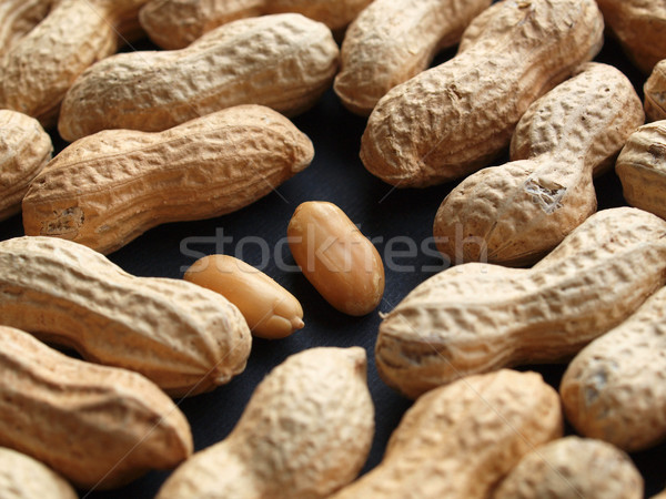 Peanut Stock photo © claudiodivizia