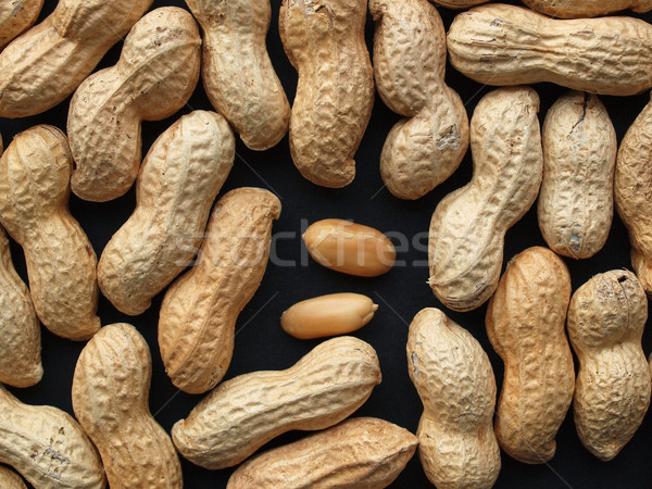 Peanut Stock photo © claudiodivizia