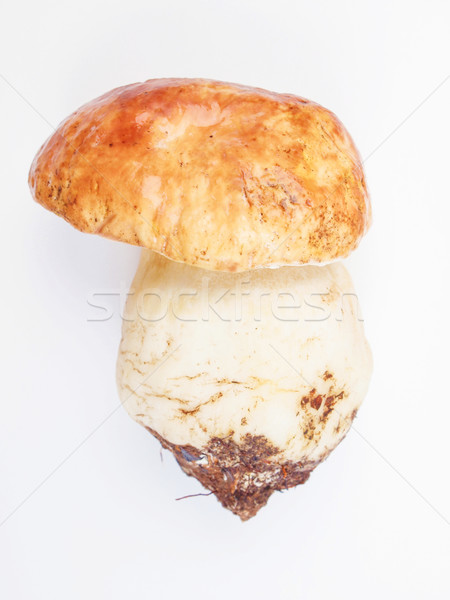 белыми грибами гриб пенни кухня Сток-фото © claudiodivizia