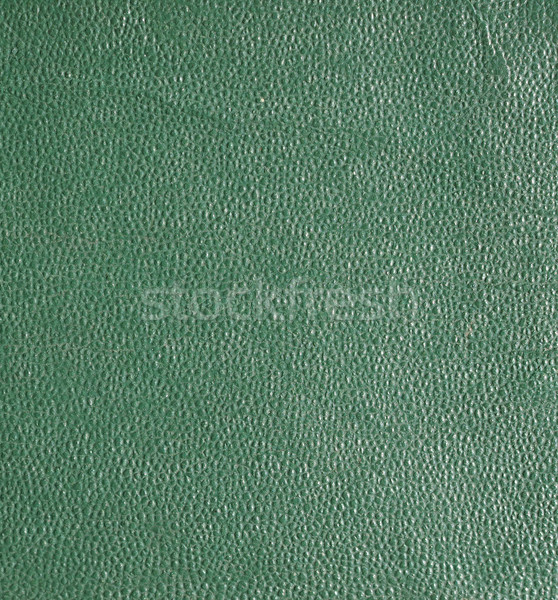 Green leatherette background Stock photo © claudiodivizia