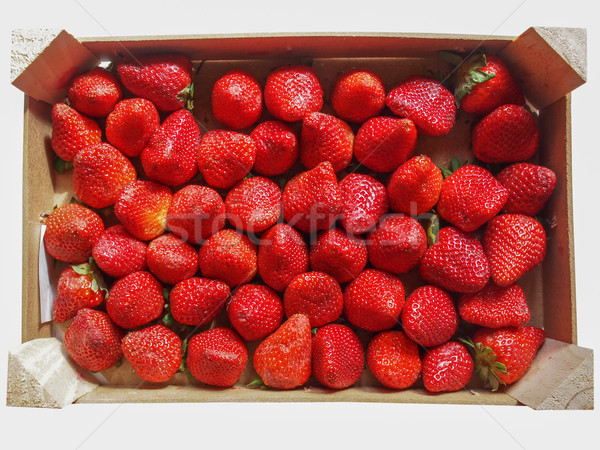 Strawberries fruits Stock photo © claudiodivizia