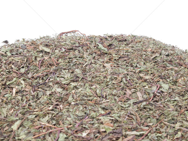 Dried peppermint Stock photo © claudiodivizia