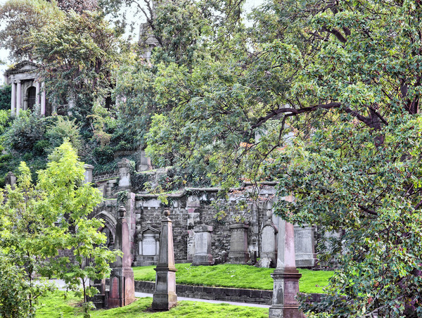 Glasgow cmentarz hdr gothic ogród Szkocji Zdjęcia stock © claudiodivizia
