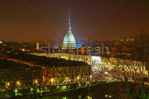 Turin view Stock photo © claudiodivizia