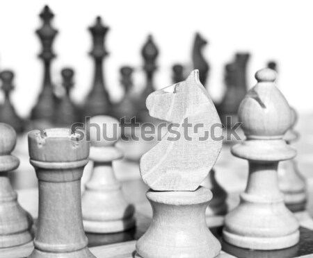 Chessboard Stock photo © claudiodivizia