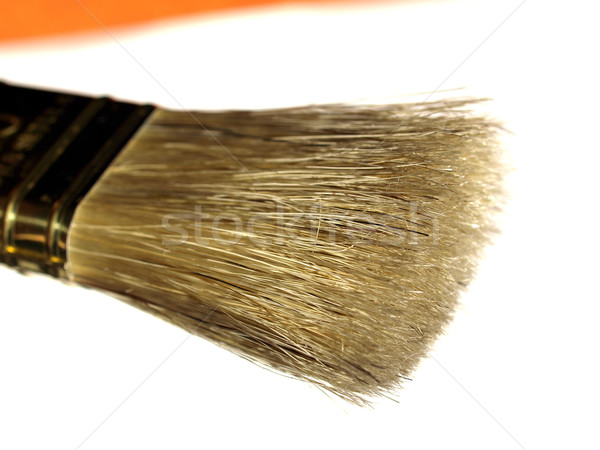 Brosse do it yourself peinture [[stock_photo]] © claudiodivizia