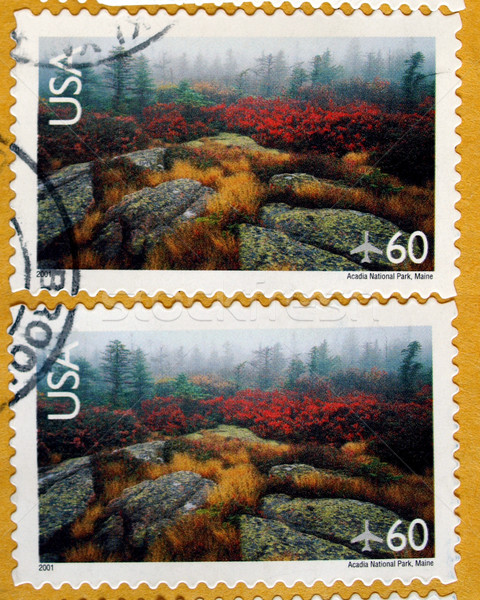 USA bélyeg 2011 nyomtatott Egyesült Államok park Stock fotó © claudiodivizia