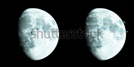 The moon Stock photo © claudiodivizia