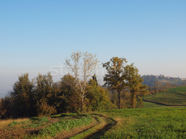 Stockfoto: Heuvel · landschap · panorama · heuvels