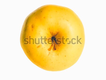 Yellow Apple Stock photo © claudiodivizia