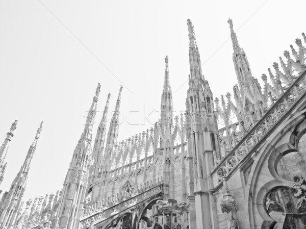 Mediolan gothic katedry kościoła Włochy Zdjęcia stock © claudiodivizia