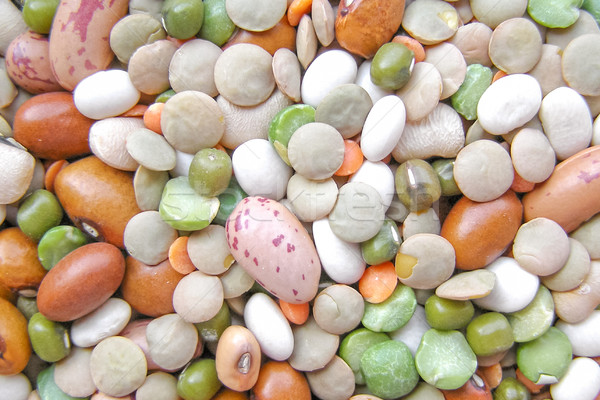 Beans salad Stock photo © claudiodivizia