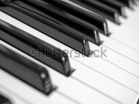 Music keyboard Stock photo © claudiodivizia