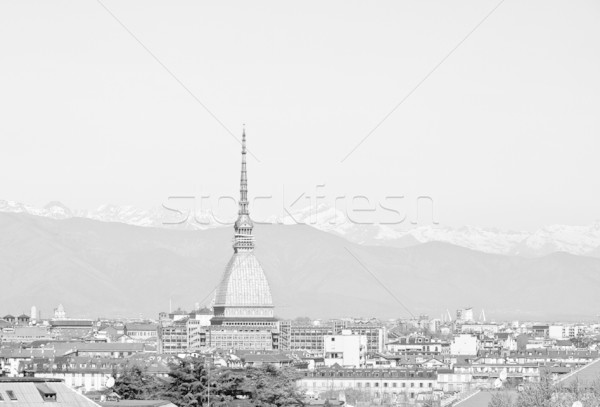 Vue ville torino Skyline panorama [[stock_photo]] © claudiodivizia
