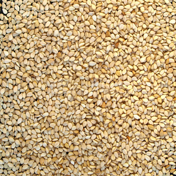 Marrón amarillo alimentos semillas Foto stock © claudiodivizia