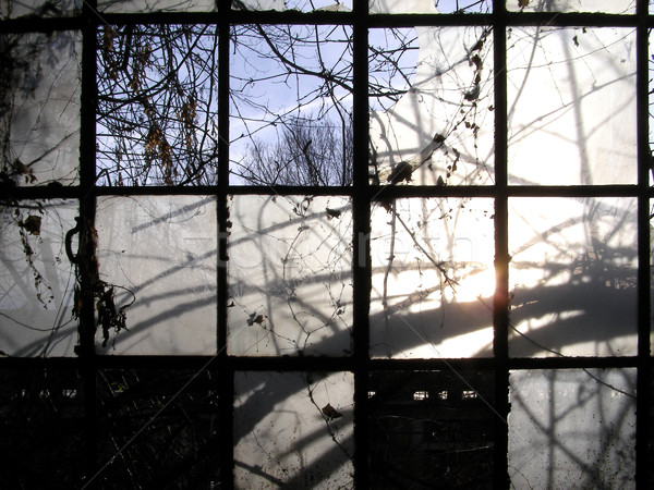 Abandoned factory Stock photo © claudiodivizia