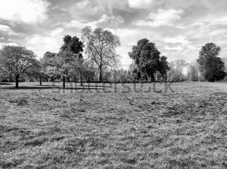 Park Londen tuinen hoog dynamisch Stockfoto © claudiodivizia