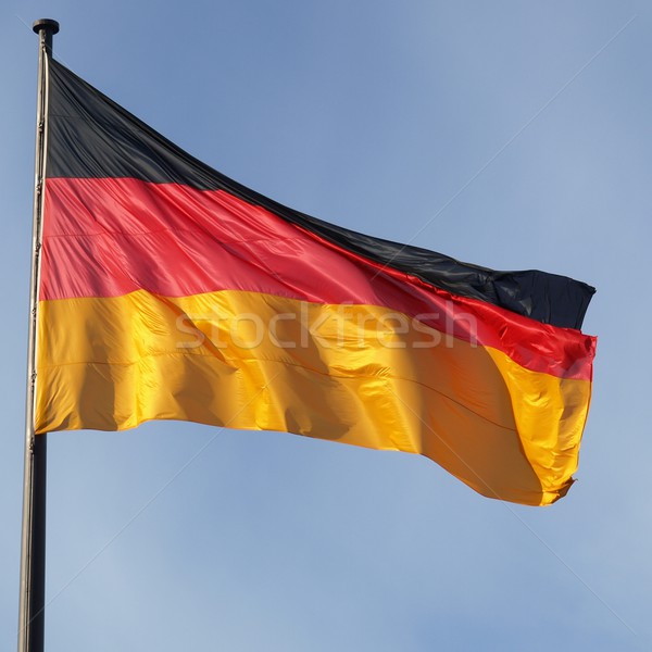 German flag Stock photo © claudiodivizia