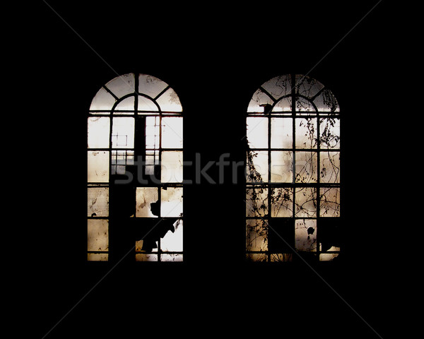 Abandonné usine industrielle ruines vieux mur [[stock_photo]] © claudiodivizia