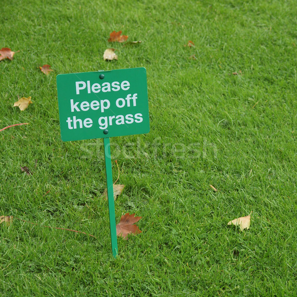 草    签署    草地    景观    背景 / please keep off the grass