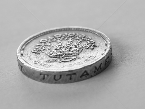 British pound coin Stock photo © claudiodivizia