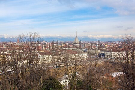 Vue ville torino Skyline panorama [[stock_photo]] © claudiodivizia