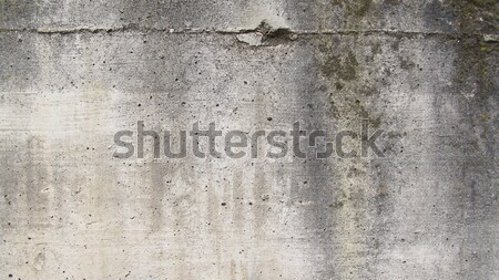 Concrete Stock photo © claudiodivizia
