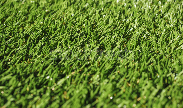 Erba artificiale verde prato utile natura sfondo Foto d'archivio © claudiodivizia