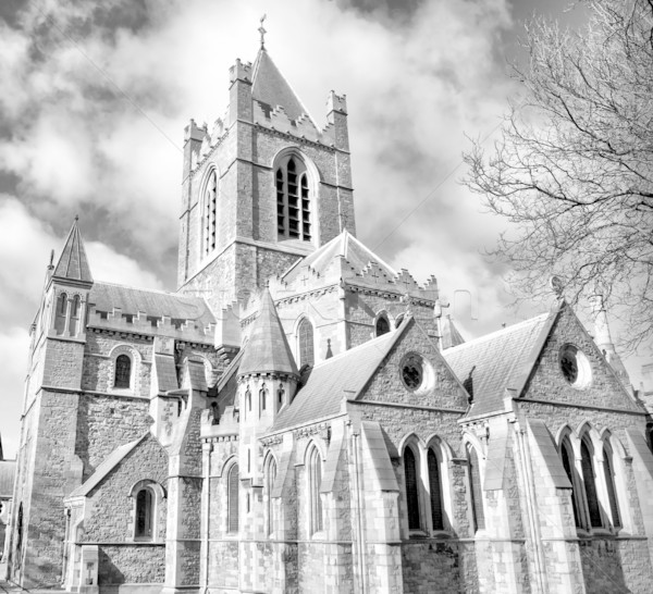 Christ Kirche Dublin alten gotischen Kathedrale Stock foto © claudiodivizia