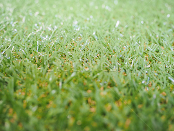 Erba artificiale verde prato utile natura sfondo Foto d'archivio © claudiodivizia