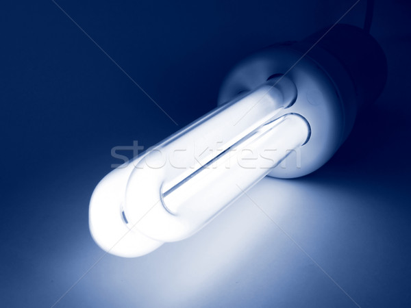 Light bulb Stock photo © claudiodivizia