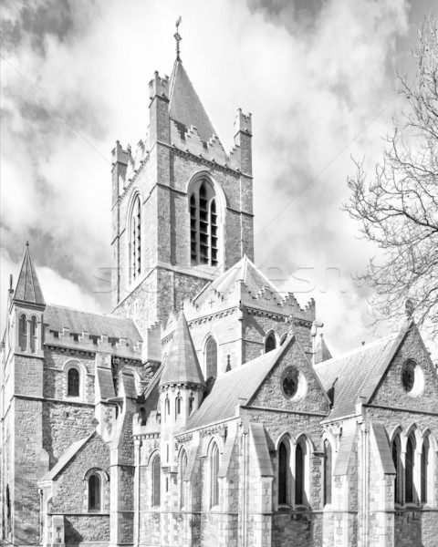 Chrystusa kościoła Dublin starożytnych gothic katedry Zdjęcia stock © claudiodivizia
