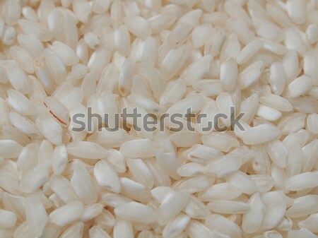 Rijst voedsel traditioneel indiase keuken schotel Stockfoto © claudiodivizia