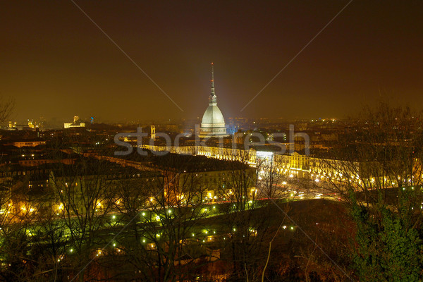 Vue ville torino Skyline panorama [[stock_photo]] © claudiodivizia